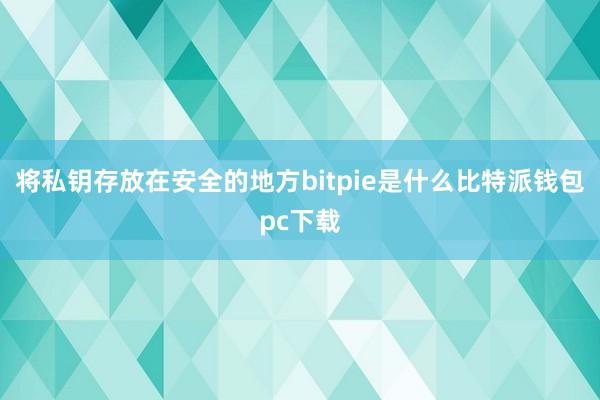 将私钥存放在安全的地方bitpie是什么比特派钱包pc下载