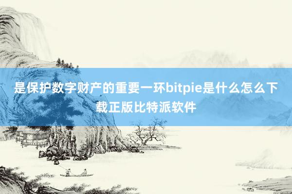 是保护数字财产的重要一环bitpie是什么怎么下载正版比特派软件