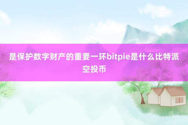 是保护数字财产的重要一环bitpie是什么比特派空投币