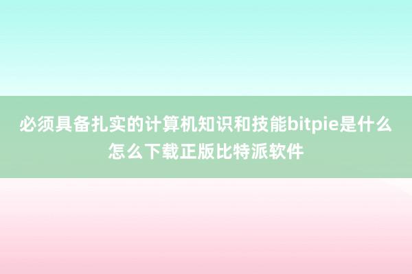 必须具备扎实的计算机知识和技能bitpie是什么怎么下载正版比特派软件