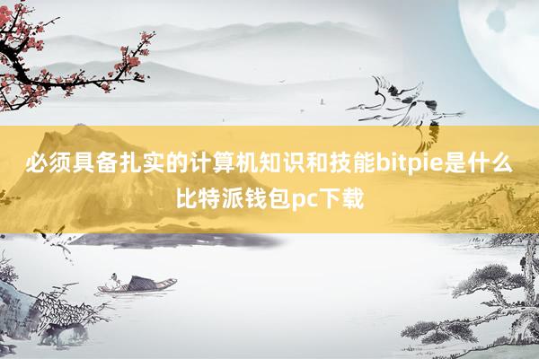 必须具备扎实的计算机知识和技能bitpie是什么比特派钱包pc下载