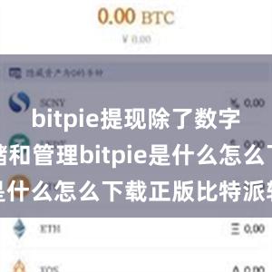 bitpie提现除了数字货币的存储和管理bitpie是什么怎么下载正版比特派软件