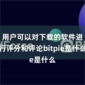 用户可以对下载的软件进行评分和评论bitpie是什么