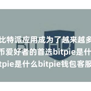 比特派应用成为了越来越多数字货币爱好者的首选bitpie是什么bitpie钱包客服