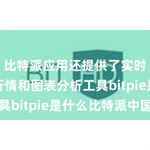 比特派应用还提供了实时的市场行情和图表分析工具bitpie是什么比特派中国