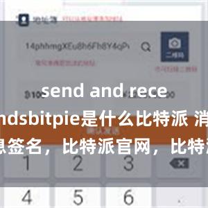 send and receive fundsbitpie是什么比特派 消息签名，比特派官网，比特派钱包，比特派下载