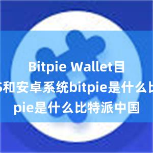 Bitpie Wallet目前支持iOS和安卓系统bitpie是什么比特派中国