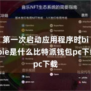 第一次启动应用程序时bitpie是什么比特派钱包pc下载