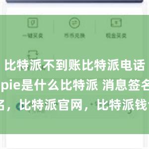 比特派不到账比特派电话其次bitpie是什么比特派 消息签名，比特派官网，比特派钱包，比特派下载