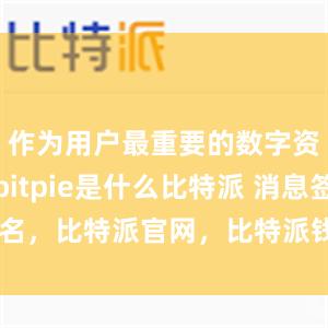 作为用户最重要的数字资产之一bitpie是什么比特派 消息签名，比特派官网，比特派钱包，比特派下载