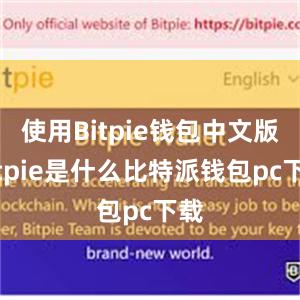 使用Bitpie钱包中文版bitpie是什么比特派钱包pc下载