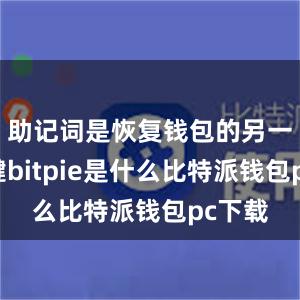 助记词是恢复钱包的另一个关键bitpie是什么比特派钱包pc下载