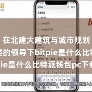 在北建大建筑与城市规划学院党委的领导下bitpie是什么比特派钱包pc下载