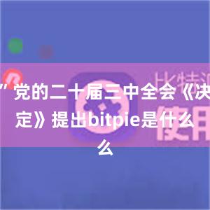 ”党的二十届三中全会《决定》提出bitpie是什么