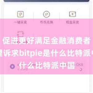 促进更好满足金融消费者合理诉求bitpie是什么比特派中国