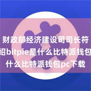 财政部经济建设司司长符金陵介绍bitpie是什么比特派钱包pc下载