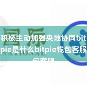 积极主动加强央地协同bitpie是什么bitpie钱包客服