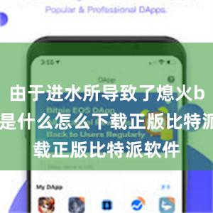 由于进水所导致了熄火bitpie是什么怎么下载正版比特派软件