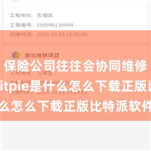 保险公司往往会协同维修的企业bitpie是什么怎么下载正版比特派软件