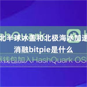 北半球冰盖和北极海冰加速消融bitpie是什么