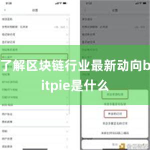 了解区块链行业最新动向bitpie是什么