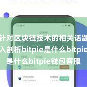 针对区块链技术的相关话题进行深入剖析bitpie是什么bitpie钱包客服