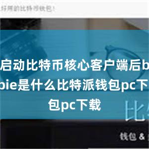 启动比特币核心客户端后bitpie是什么比特派钱包pc下载