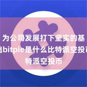 为公司发展打下坚实的基础bitpie是什么比特派空投币