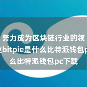 努力成为区块链行业的领军企业bitpie是什么比特派钱包pc下载