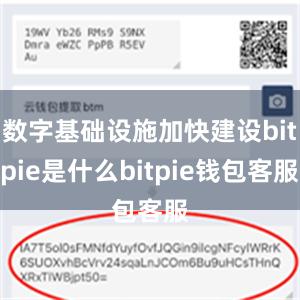 数字基础设施加快建设bitpie是什么bitpie钱包客服