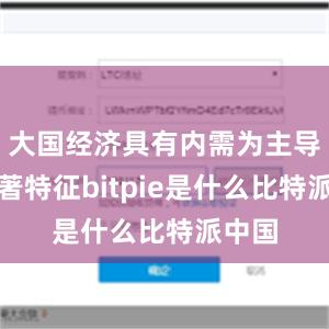 大国经济具有内需为主导的显著特征bitpie是什么比特派中国