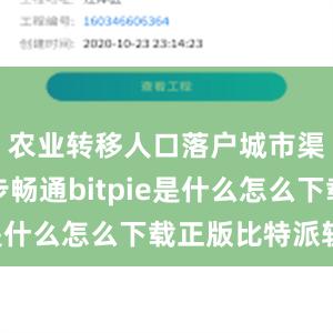 农业转移人口落户城市渠道进一步畅通bitpie是什么怎么下载正版比特派软件