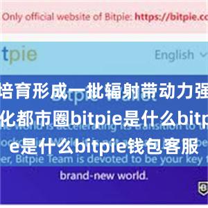 培育形成一批辐射带动力强的现代化都市圈bitpie是什么bitpie钱包客服