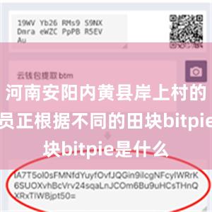 河南安阳内黄县岸上村的农技人员正根据不同的田块bitpie是什么