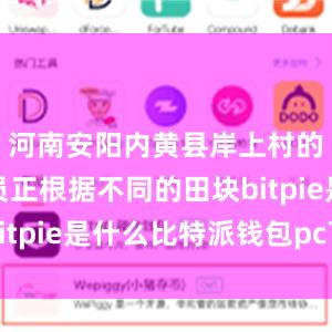 河南安阳内黄县岸上村的农技人员正根据不同的田块bitpie是什么比特派钱包pc下载