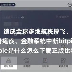 造成全球多地航班停飞、医疗设备瘫痪、金融系统中断bitpie是什么怎么下载正版比特派软件