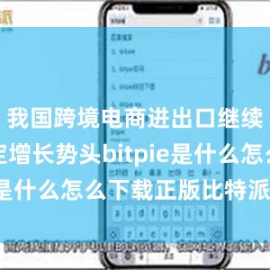 我国跨境电商进出口继续保持稳定增长势头bitpie是什么怎么下载正版比特派软件