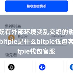 既有外部环境变乱交织的影响bitpie是什么bitpie钱包客服