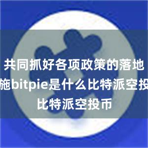 共同抓好各项政策的落地实施bitpie是什么比特派空投币