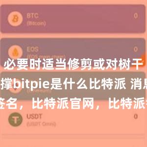 必要时适当修剪或对树干进行支撑bitpie是什么比特派 消息签名，比特派官网，比特派钱包，比特派下载