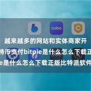 越来越多的网站和实体商家开动给与比特币支付bitpie是什么怎么下载正版比特派软件