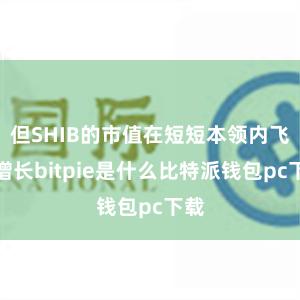 但SHIB的市值在短短本领内飞快增长bitpie是什么比特派钱包pc下载