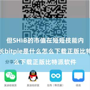 但SHIB的市值在短短技能内飞快增长bitpie是什么怎么下载正版比特派软件