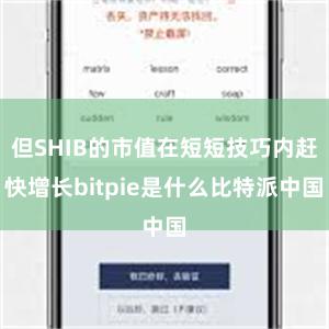 但SHIB的市值在短短技巧内赶快增长bitpie是什么比特派中国