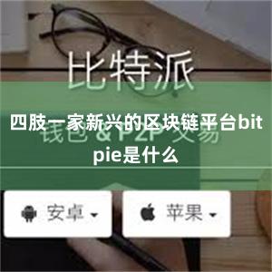 四肢一家新兴的区块链平台bitpie是什么