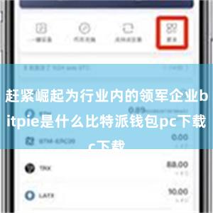 赶紧崛起为行业内的领军企业bitpie是什么比特派钱包pc下载