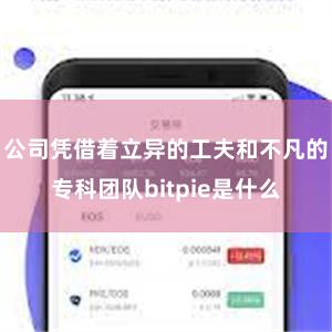 公司凭借着立异的工夫和不凡的专科团队bitpie是什么