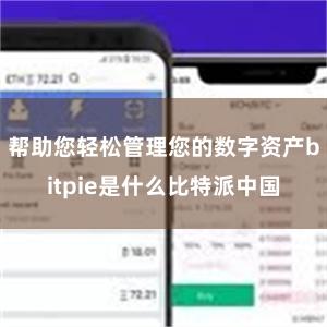 帮助您轻松管理您的数字资产bitpie是什么比特派中国