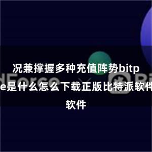 况兼撑握多种充值阵势bitpie是什么怎么下载正版比特派软件