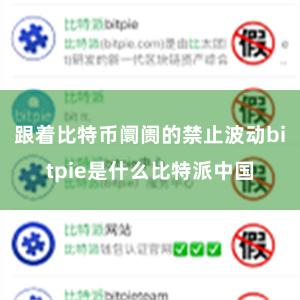 跟着比特币阛阓的禁止波动bitpie是什么比特派中国